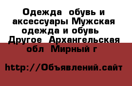 Одежда, обувь и аксессуары Мужская одежда и обувь - Другое. Архангельская обл.,Мирный г.